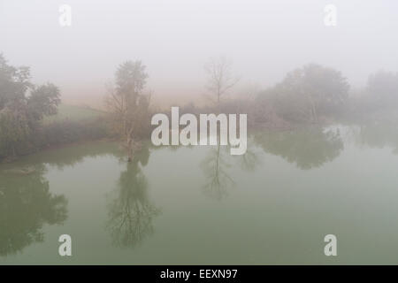 Nebel auf den Tiber und Bäume Stockfoto