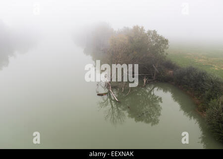 Nebel auf den Tiber und Bäume Stockfoto