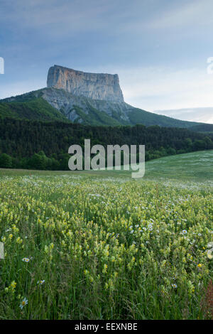 Frankreich Isere Parc Naturel Regional du Vercors (Naturpark Vercors) betrachtet den Mont Aiguille (2086 m) bei Tagesanbruch Stockfoto