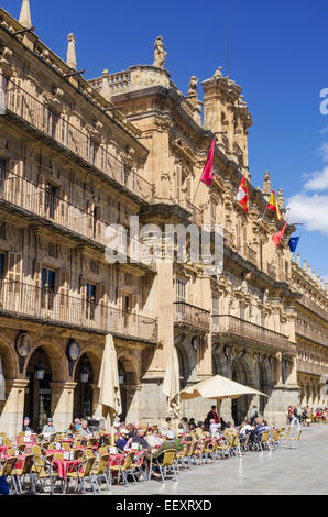 Belebten Cafés unter den barocken Stil Plaza Mayor, Salamanca, Spanien Stockfoto