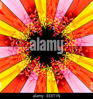 Blütenmitte symmetrischen Collage aus der Sammlung von Gerbera Blumen. Stücke sind in symmetrischen Stücke Seamlesly geteilt. Stockfoto