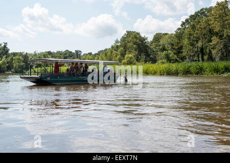 Louisiana Sumpf Land, Delta, Feuchtgebiete. Mississippi Fluß .ecotourism Stockfoto