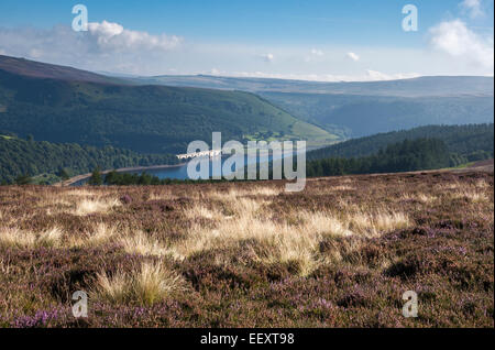 Blickte auf Ladybower Vorratsbehälter und Ashopton Brücke aus den Weg zu WIn Hill. Spätsommer-Landschaft-Farben. Stockfoto