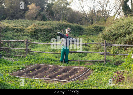 Vogelscheuche in einem Gemüsegarten in einer Landschaft Stockfoto