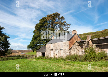 Altes Bauernhaus auf der Spur der Archäologie in Llyn Brenig in Nord-Wales. Stockfoto