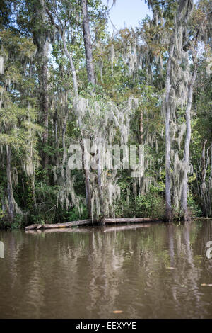 Louisiana Sumpf Land, Delta, Feuchtgebiete. Mississippi Fluß. Stockfoto