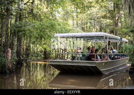 Louisiana Sumpf Land, Delta, Feuchtgebiete. Mississippi Fluss-.eco-Tourismus Stockfoto