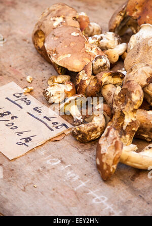 CEP-Pilze auf einem französischen Marktstand Stockfoto