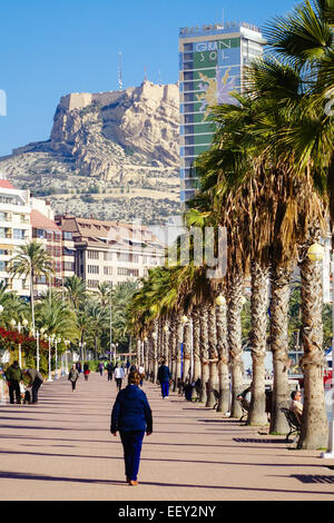 Die Promenade Explanada de España und der Hafen von Alicante mit Palmen und Gran Sol Hotel und Schloss im Hintergrund Stockfoto