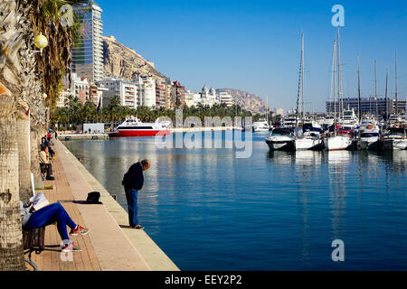 Alicante Spanien Hafen mit blauem Meer, Himmel und Palmen Stockfoto