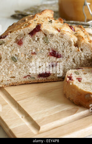 Cranberry Brot gebacken mit Kürbis und Sonnenblumen Samen Stockfoto