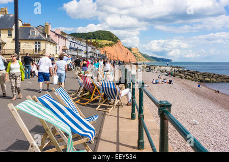 Liegestühle an der Promenade von Sidmouth, East Devon, England, Großbritannien im Sommer am Meer Stockfoto