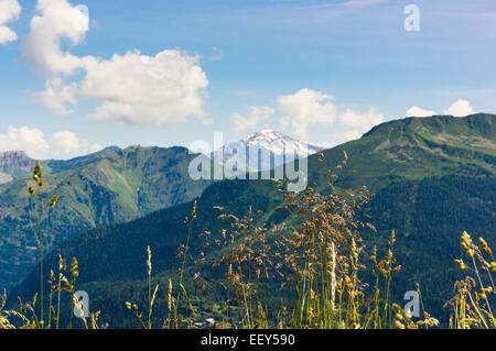 Blick auf die französischen Alpen in der Nähe von Chamonix, Rhone-Alpes, Haute-Savoie, Frankreich, im Sommer Stockfoto