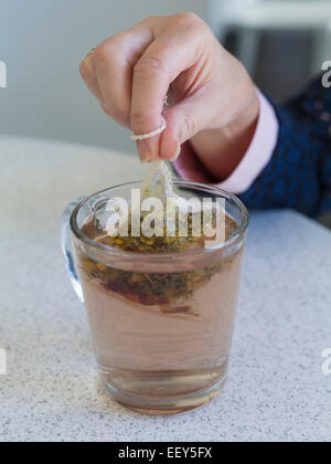 Zubereitung von Kamille Tee mit einem Teebeutel in Glasschale Stockfoto