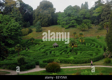 September 2014 das Labyrinth in dem National Trust Glendurgan Gardens in der Nähe von Falmouth, Cornwall. PIC Mike Walker, Mike Walker Pictur Stockfoto