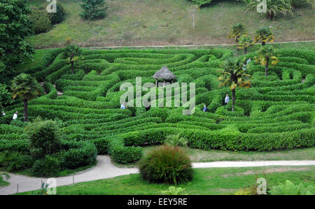 September 2014 das Labyrinth an den National Trust Glendurgan Gardens in der Nähe von Falmouth, Cornwall. PIC Mike Walker, Mike Walker P Stockfoto