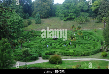 September 2014 das Labyrinth an den National Trust Glendurgan Gardens in der Nähe von Falmouth, Cornwall. PIC Mike Walker, Mike Walker P Stockfoto