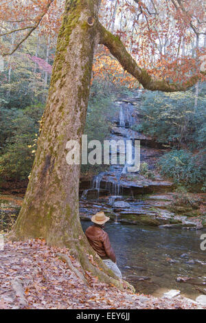Ein Mann trägt eine Lederjacke und Aussie Hut lehnt sich an einen Baum mit Blick auf einen malerischen Wasserfall und Stream im Herbst Stockfoto
