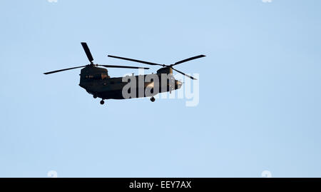 Brighton UK - Ein Hubschrauber aus Chinook, der über dem Sheepcote Valley Brighton flog Stockfoto