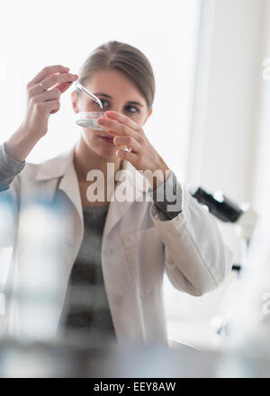 Weibliche Laborantin mit Pipette und Petrischale Stockfoto