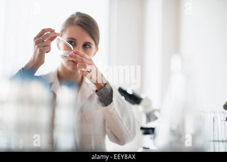 Weibliche Laborantin mit Pipette und Petrischale Stockfoto