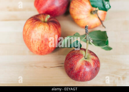 Vier rote Äpfel Stockfoto