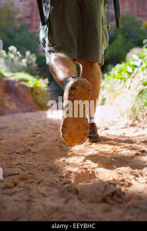 USA, Utah, Grand Gulch, Mann, Wandern im Wald Stockfoto