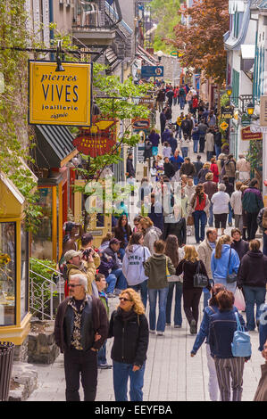 QUEBEC Stadt, QUEBEC, Kanada - Tourismus in Petit Champlain Straße im alten Québec (Stadt). Die Menschen gehen, schmale Straße einkaufen Stockfoto