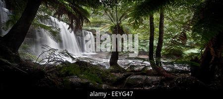 Wasserfall in Tasmanien Stockfoto