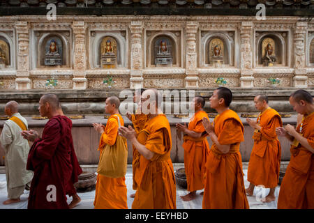 Mönche singen, während sie anstehen, um den heiligen Kammerschrein zu betreten, wo sich die heilige goldene Buddha-Statue im Mahabodhi-Tempel in Bihar, Indien befindet. Stockfoto