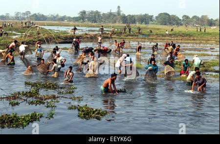 Assam, Indien. 23. Januar 2015. Stammes-Männer fangen Fische während ein Community-Angeln-Event im Rahmen des Jonbeel Festivals in der Nähe von Jagiroad, Indien, 23. Januar 2015. Gemeinschaften und Stämme wie Tiwa, Karb, Khasi und Jayantia von den nahe gelegenen Hügeln kommen in großer Zahl zur Teilnahme an Festivals und Austausch waren durch Tauschhandel, anstatt Geld. Gemeinschaft Angeln und Hahnenkämpfe sind auch zwischen Stammes- und nicht-Stammes-Gruppen während des Festivals statt. © Stringer/Xinhua/Alamy Live-Nachrichten Stockfoto