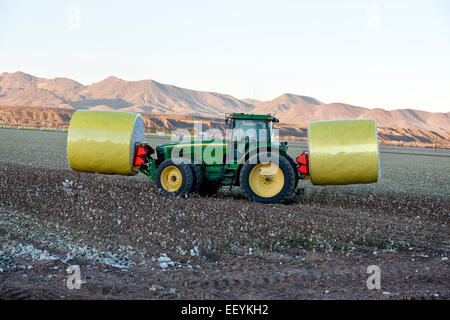 Traktor Transport von Baumwolle-Module. Stockfoto