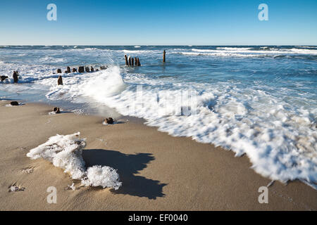 An einem sonnigen Tag an der Ostseeküste. Stockfoto