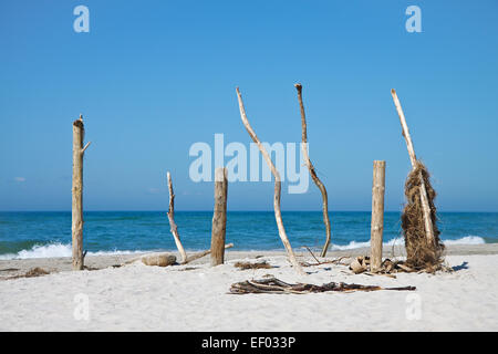 Erkenntnisse an der Ostseeküste. Stockfoto
