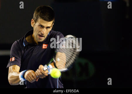 Melbourne, Australien. 24. Januar 2015. 1. Samen Novak Djokovic (SRB) in Aktion in einem 3. Runde match gegen 31. Samen Fernando Verdasco (ESP) am Tag sechs des 2015 Australian Open Grand-slam-Tennis-Turnier im Melbourne Park in Melbourne, Australien. Sydney Low/Cal-Sport-Medien. Bildnachweis: Csm/Alamy Live-Nachrichten Stockfoto