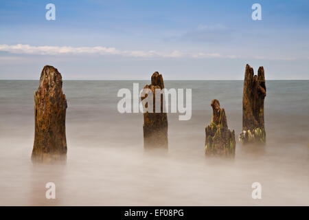 Buhnen an der Ostseeküste Stockfoto