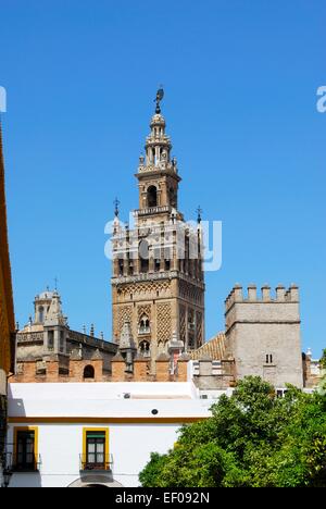 Giralda Turm gesehen vom Patio de Las Banderas, Sevilla, Provinz Sevilla, Andalusien, Spanien. Stockfoto