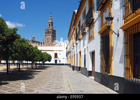 Giralda Turm gesehen vom Patio de Las Banderas, Sevilla, Provinz Sevilla, Andalusien, Spanien, Westeuropa. Stockfoto