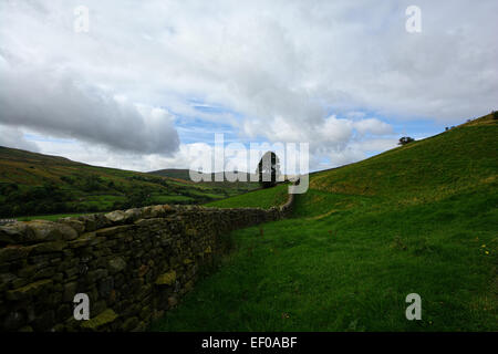 Swaledale in der Yorkshire Dales National Park, North Yorkshire Stockfoto