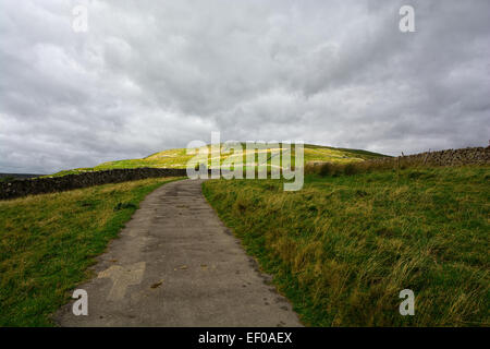 Swaledale in der Yorkshire Dales National Park, North Yorkshire Stockfoto