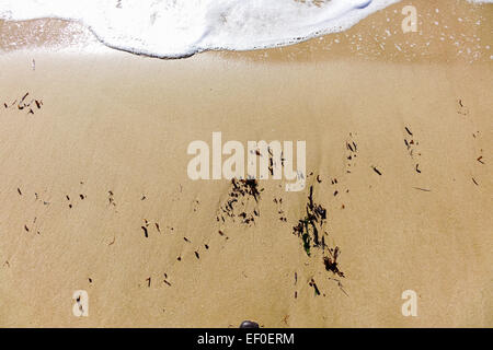 Welle am Strand mit einigen Seegras zeigen sich durch abwaschen würde Buchcover passen. Stockfoto