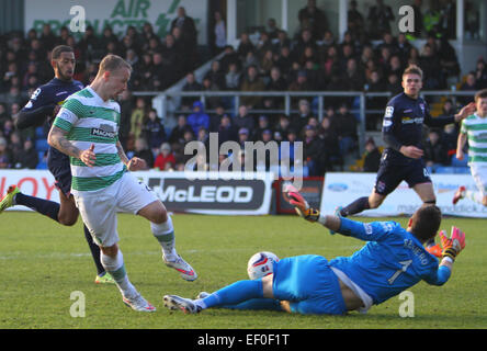 Dingwall, Schottland. 24. Januar 2015. Scottish Premier League. Ross County gegen Celtic. Antonio Reguero taucht am Fuße des Leigh Griffiths Credit: Action Plus Sport/Alamy Live News Stockfoto