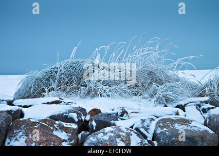 Winter an der Ostseeküste. Stockfoto