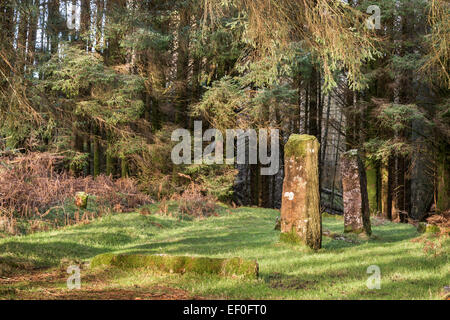 Kilmore Standing Stones auf Dervaig auf der Isle of Mull in Schottland. Stockfoto