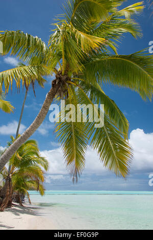 Cook-Inseln, Aitutaki (aka Araura). One Foot Island, eine kleine "Motu" im Südost-Bereich der Lagune. Stockfoto