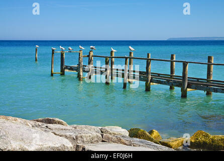 Mole an der Ostseeküste. Stockfoto