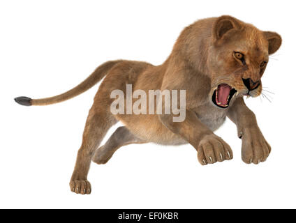 Digitale 3D Rendern eines Jagd weibliche Löwen isoliert auf weißem Hintergrund Stockfoto