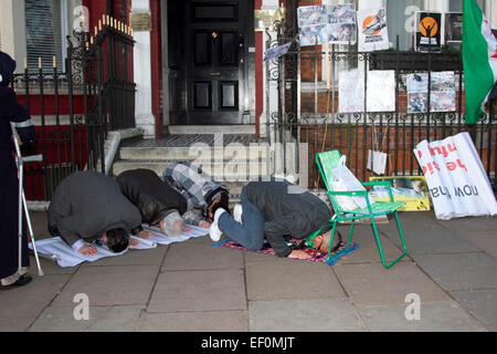 London, UK. 24. Januar 2015.  Eine kleine Gruppe von syrischen Exil zu Knien, um zu beten, wie sie gegen die Regierung von Präsident Assad in Syrien vor der russischen Botschaft in London Kredit zeigen: Amer Ghazzal/Alamy Live-Nachrichten Stockfoto