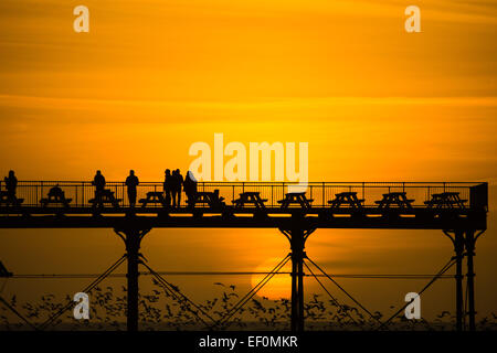 Aberystwyth, Wales, UK. 24. Januar 2015. Eine Gruppe von Ornithologen Silhouette gegen die untergehende Sonne und eine Herde von Möwen, während sie darauf warten, die "Murmuration" von Tausenden Stare fliegen in der Dämmerung an der Westküste Wales UK, sich für die Nacht an den gusseisernen Beinen der viktorianischen Seestadt Pier in Aberystwyth anzuzeigen. Roost in Aberystwyth ist eine von nur drei städtische Quartiere im Vereinigten Königreich. Trotz ihrer großen Zahl hier, die Vögel sind auf der RSPB "Rote Liste" der gefährdeten Tierarten der British Birds Credit: Keith Morris/Alamy Live-Nachrichten Stockfoto