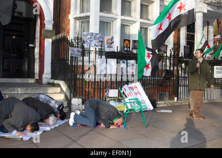 London, UK. 24. Januar 2015.  Eine kleine Gruppe von syrischen Exil zu Knien, um zu beten, wie sie gegen die Regierung von Präsident Assad in Syrien vor der russischen Botschaft in London Kredit zeigen: Amer Ghazzal/Alamy Live-Nachrichten Stockfoto